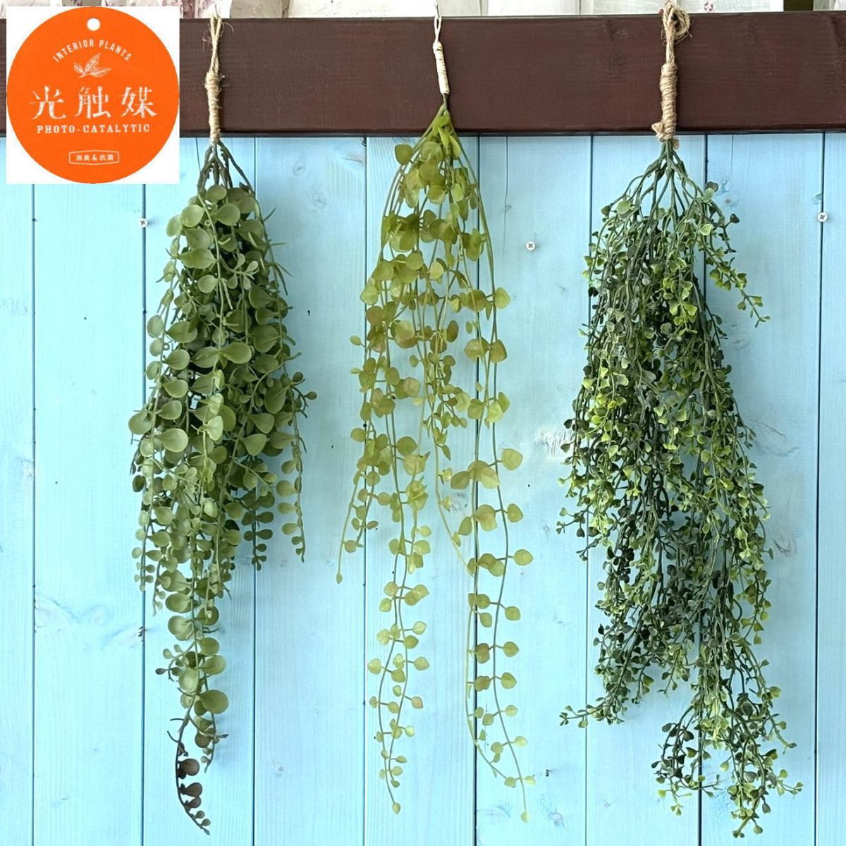 楽天市場】吊り下げて癒しの空間を 光触媒加工 インテリアグリーン