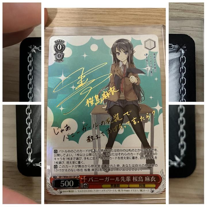 樂淘代購心得(6)（ws ヴァイスシュヴァルツかけがえのない存在桜島麻衣