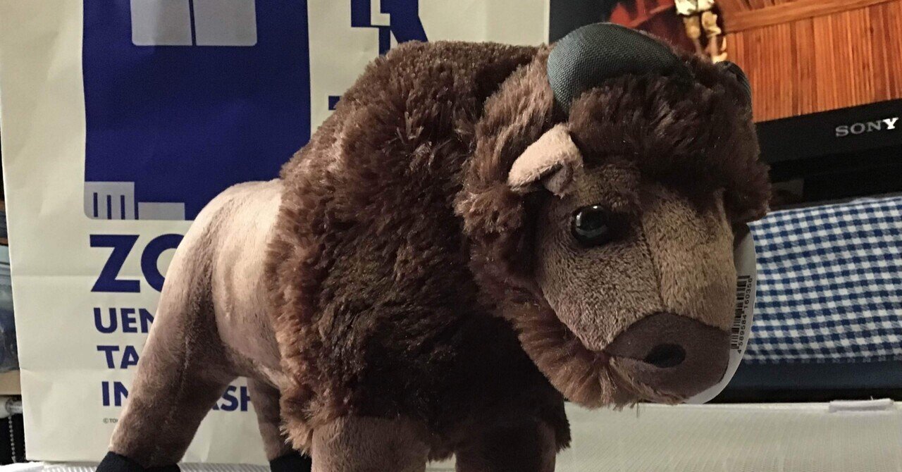 バイソン 入荷しました｜町のピアノ教室