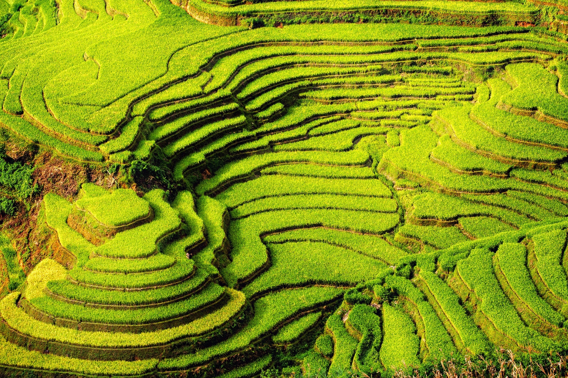 ムーカンチャイの棚田の風景 イエンバイ省 ベトナムの風景 | Beautiful