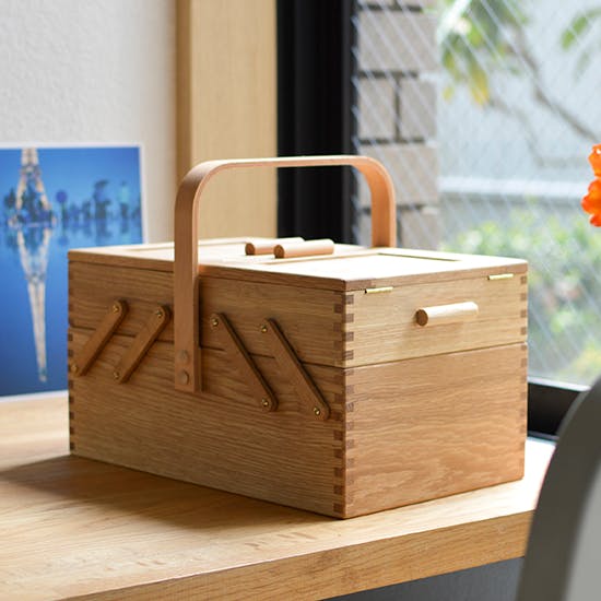 sainyuuka_nara_150309.jpg?auto