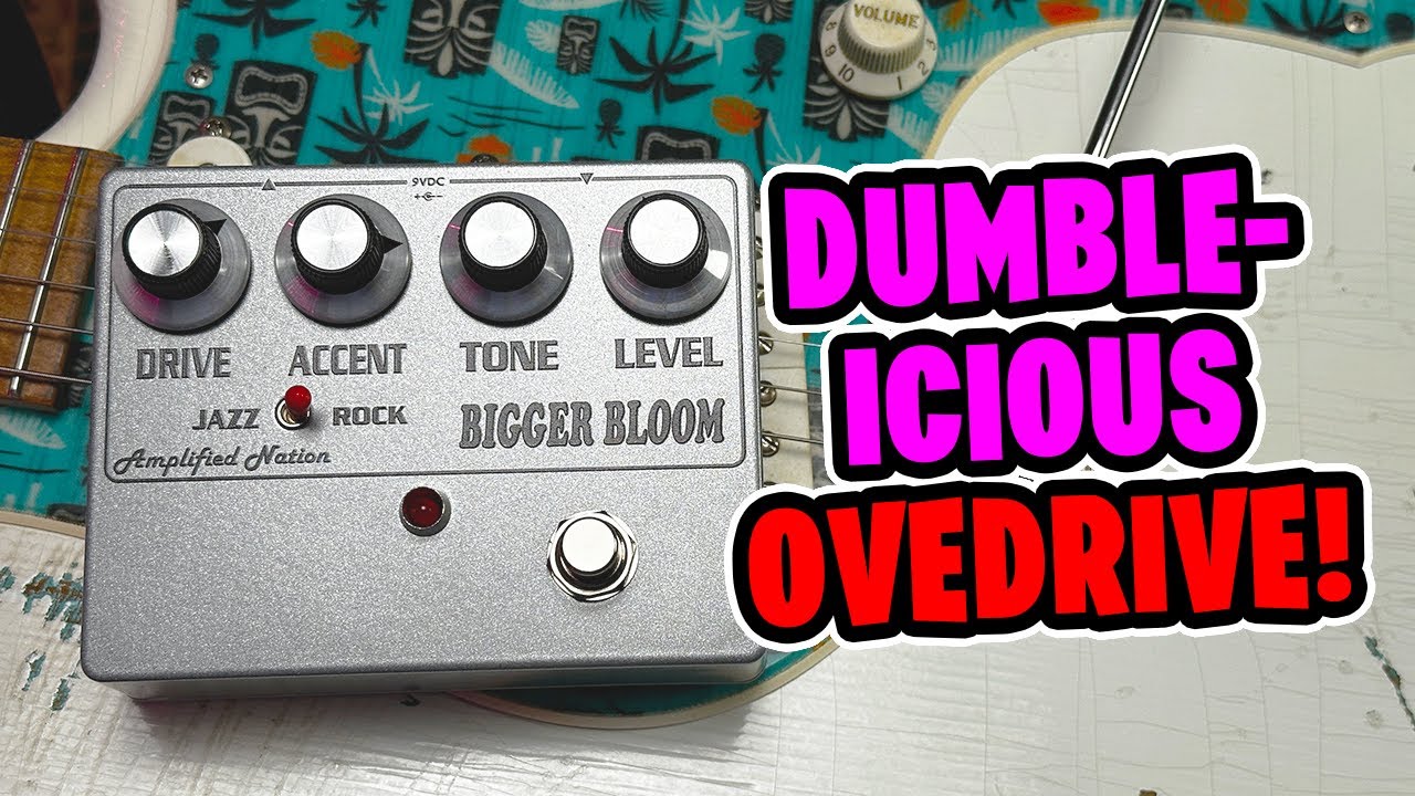 Bigger Bloom Overdrive - Amplified Nation