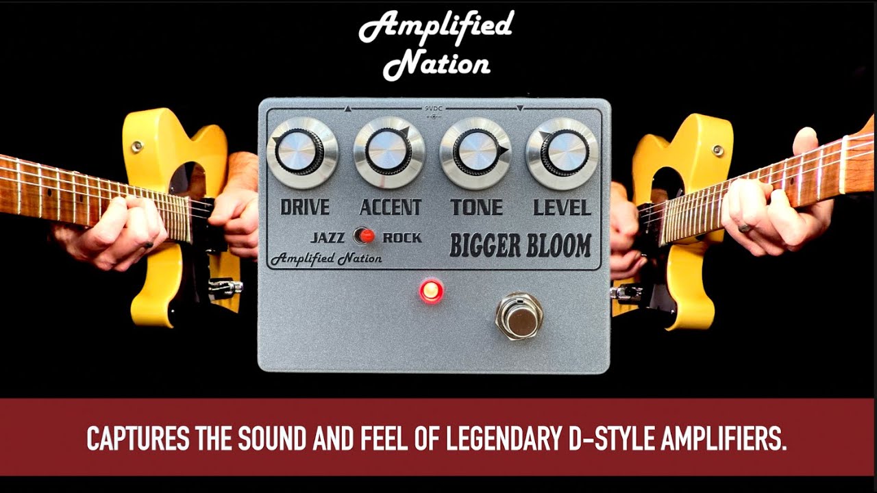 Bigger Bloom Overdrive - Amplified Nation