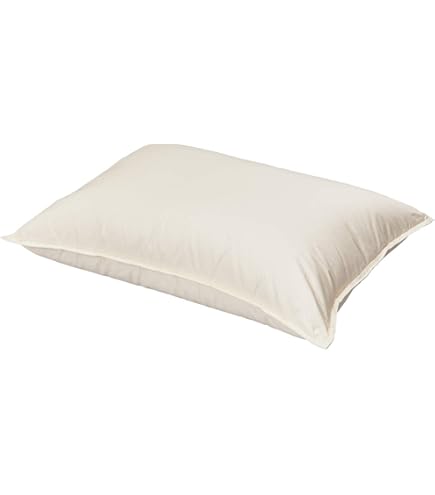 Amazon｜Sealy(シーリー) ソロテックスピロー ソロテックスピロー40