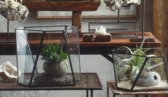 テラリウム −2−植物をオシャレに見せるガラスの中の小さなガーデン