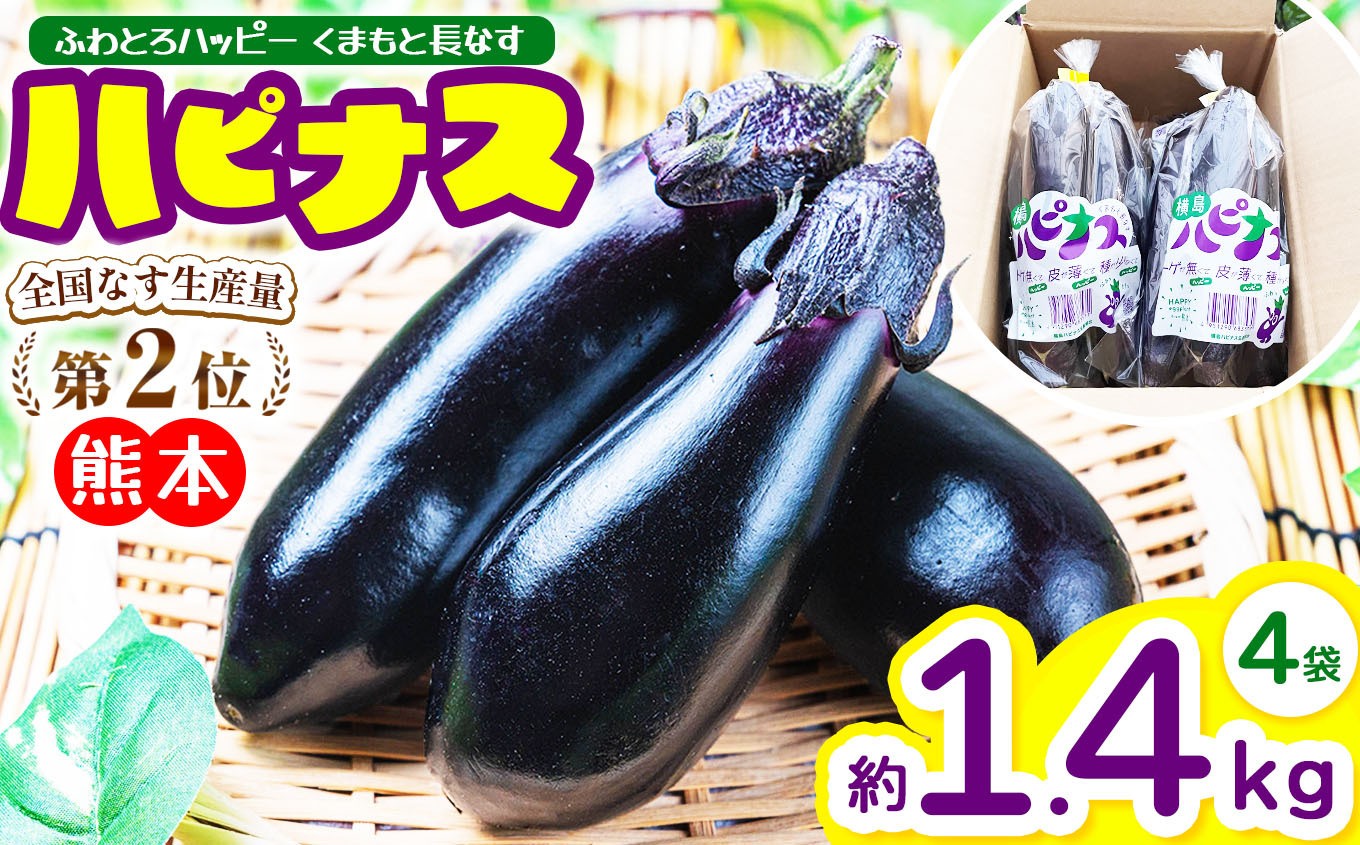 ハピナス 玉名市産 長なす 約 1.4㎏（300g～400g×4袋）｜ 野菜