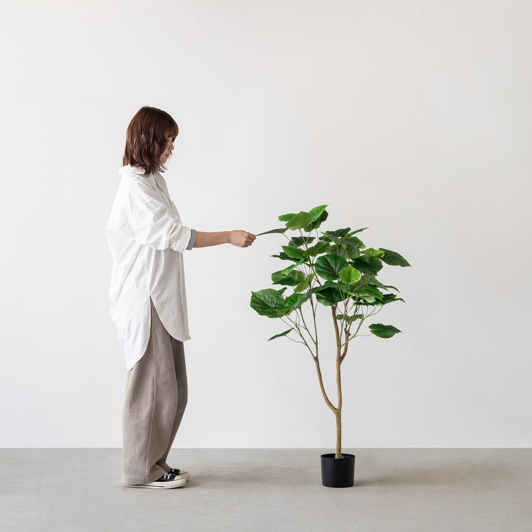 Artificial - Green フェイクグリーン ウンベラータ – KANADEMONO