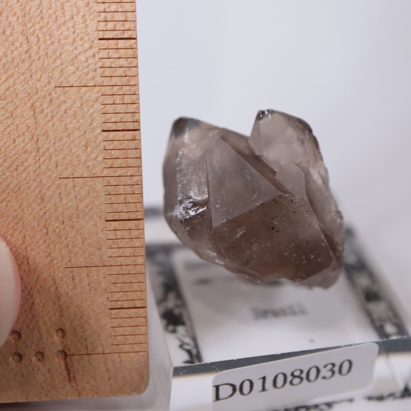 ブラジル産 スモーキークォーツ | 鉱物標本,サ行,スモーキークォーツ