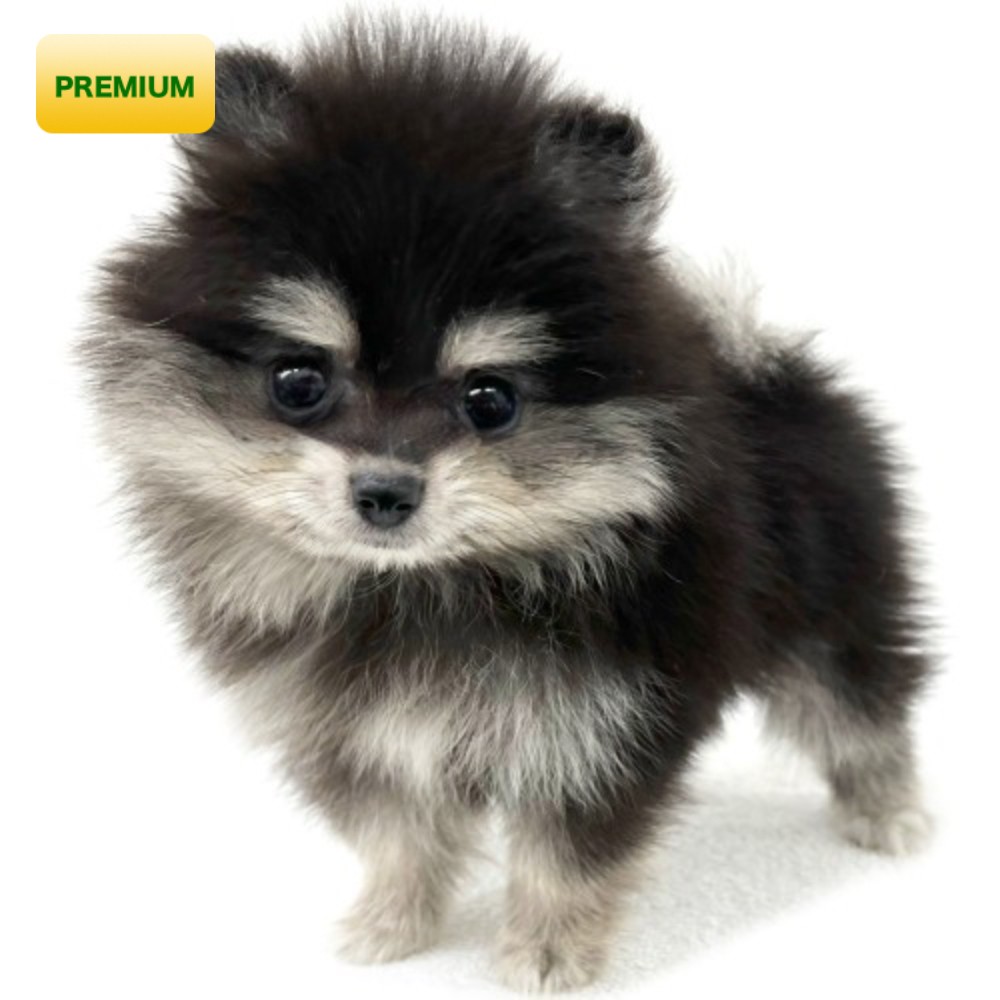 70fe0c71e8b78557c326d2a6c5bc2c