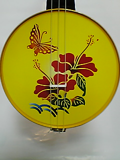 かんから三線、カンカン三線、カンカラ三線、ハイビスカス（丸高