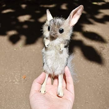 Amazon.co.jp: BH7497 HANSA トビネズミ19 : おもちゃ