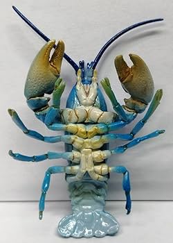 Amazon | ニホンザリガニ 青 週刊 日本の天然記念物 甲殻類 ザリガニ