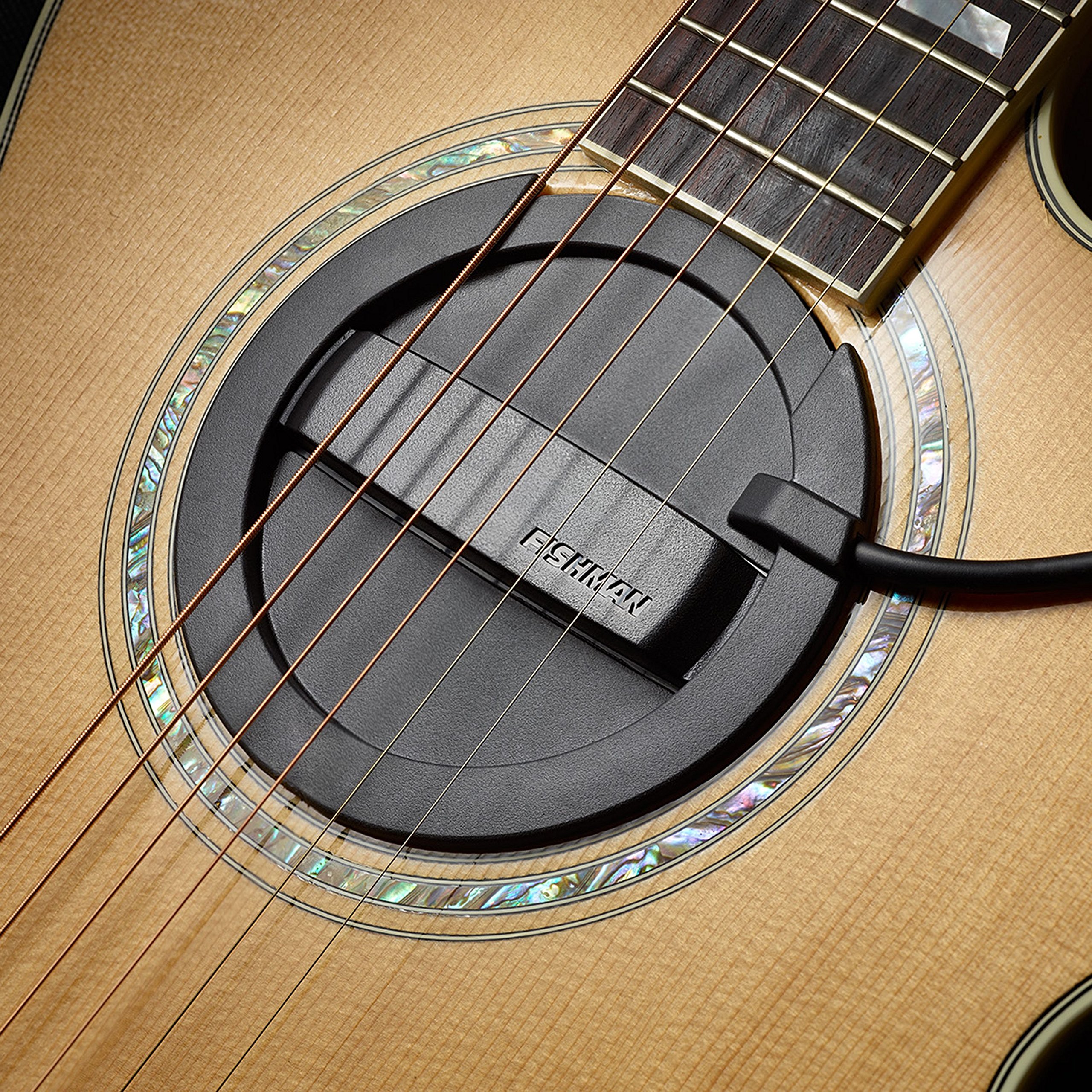 Amazon.co.jp: FISHMAN Soundhole Pickups Neo-Buster - Humbucker