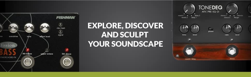 Amazon | FISHMAN FX ToneDEQ AFX Preamp, EQ and DI with Dual