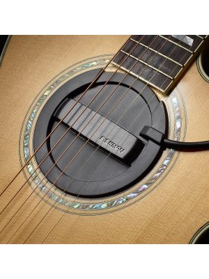 Amazon.co.jp: FISHMAN Soundhole Pickups Neo-Buster - Humbucker