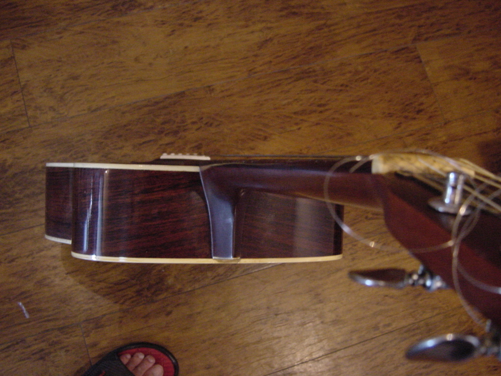 1972年寺田製 Morris モーリス FD-18 : Yhcojpid's Blog