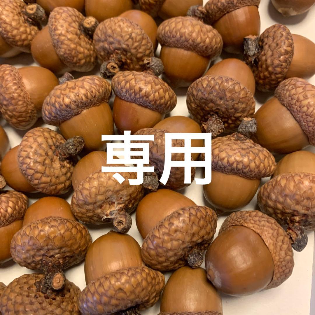 ちべ☆ 特大ドングリ80個 特大 約3センチ ドングリ 30個➕おまけ - メルカリ