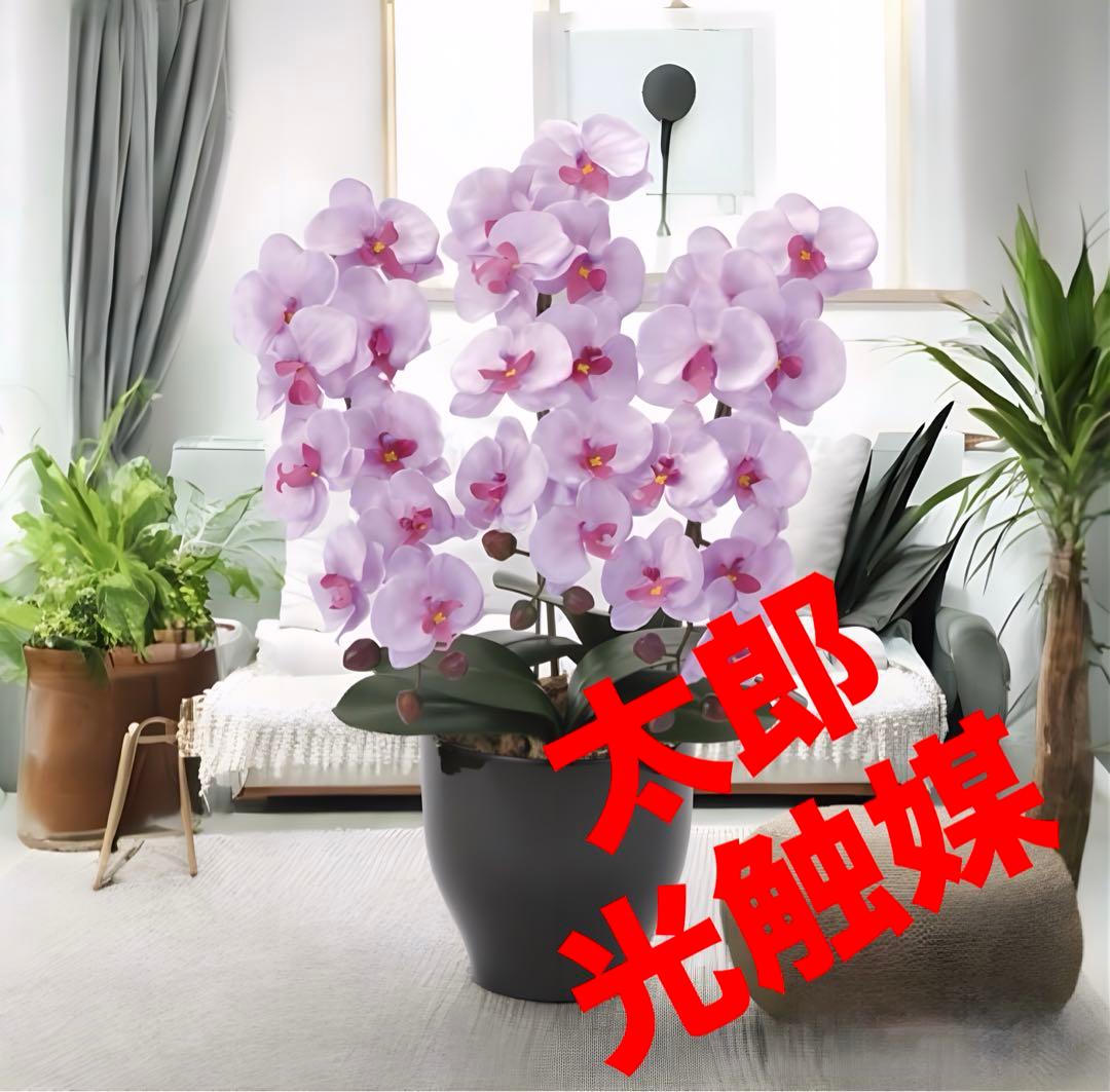 光触媒　人工観葉植物　ウォールグリーン　フェイクグリーン 胡蝶蘭セリースL 光触媒 人工観葉植物 ウォールグリーン フェイクグリーン フラワー