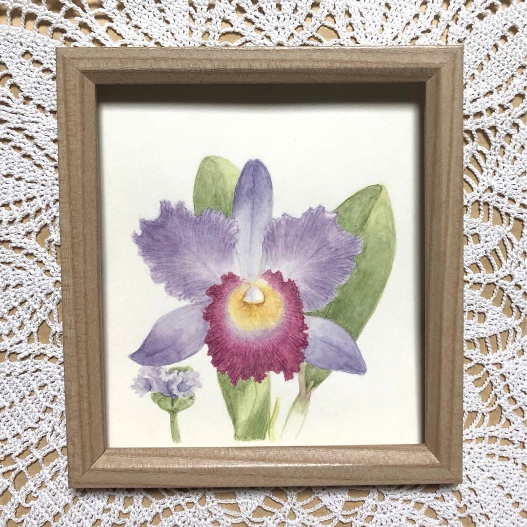 ボタニカルアート 水彩画 カトレア 原画 紫の花 絵画 - メルカリ