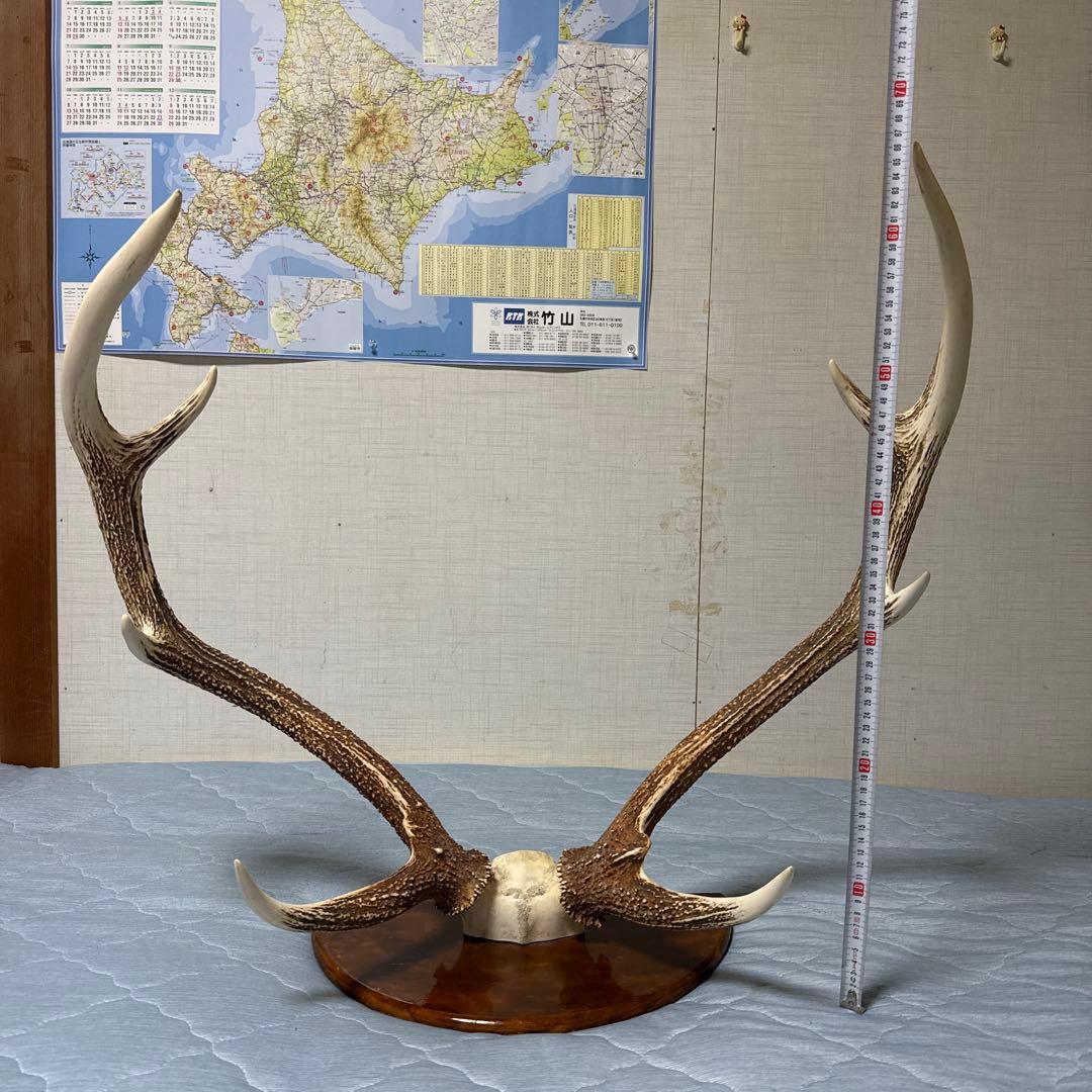 鹿の角 インテリアオブジェ 約70cm 鹿の角 約70cm - メルカリ