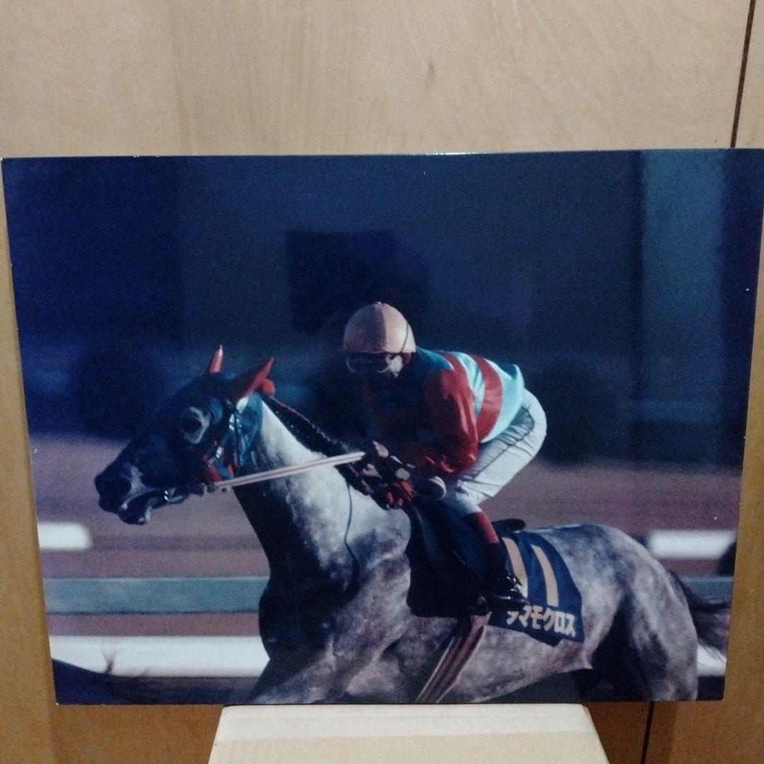 稲妻２世芦毛タマモクロス写真パネル（１９８８年１２月２５日中山有馬記念）引退記念 1988年有馬記念】芦毛対決！オグリキャップがタマモクロスに一矢報