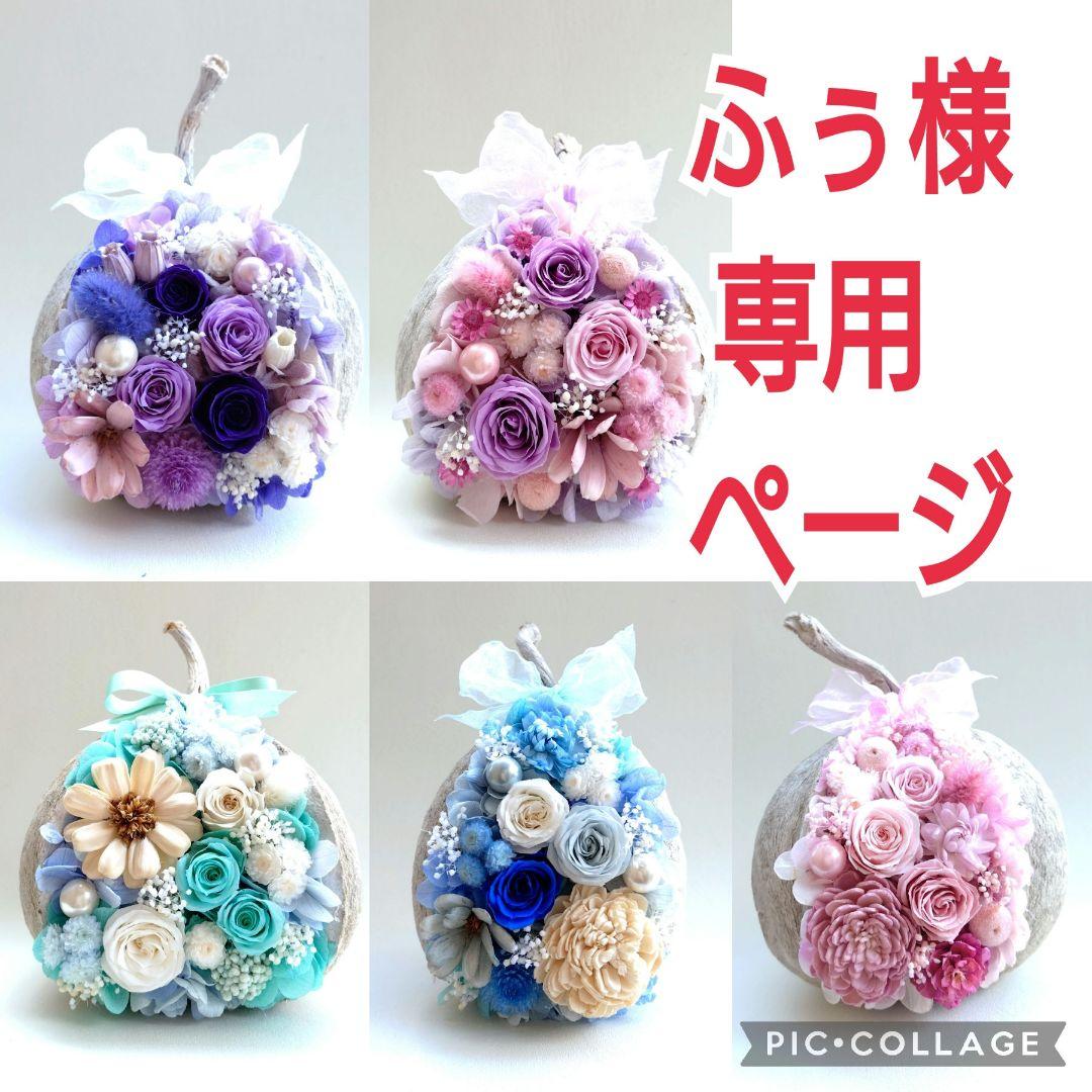 ふぅページ　ブッダナッツ　オーダー分 ブッダナッツアレンジ【布みみ×プリザーブドフラワー】 | kocchi.