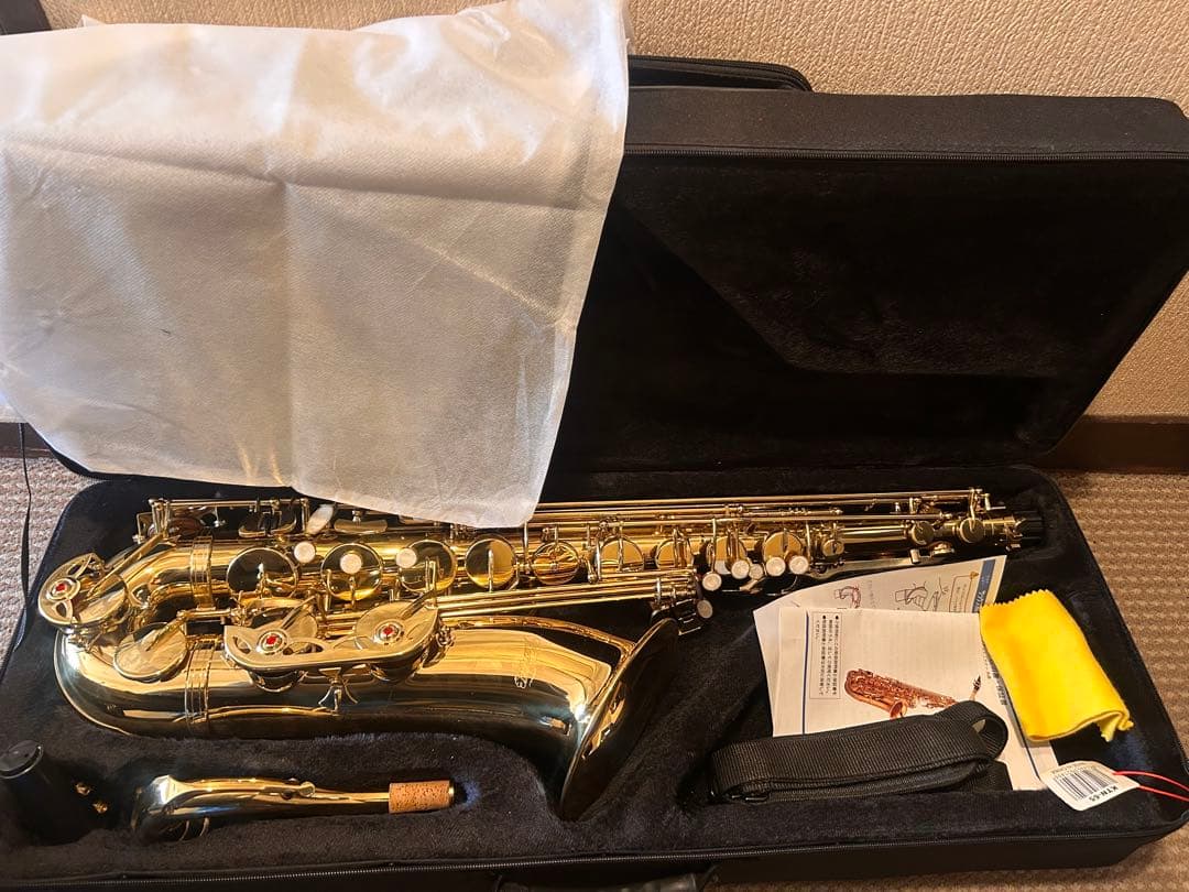 未使用〜ほぼ未使用の極上美品 Kaerntner テナー サックス KTN-65 Amazon.co.jp: Kaerntner ケルントナー テナーサックス KTN-65